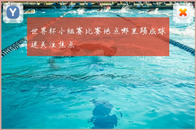 世界杯小组赛比赛地点哪里踢成球迷关注焦点